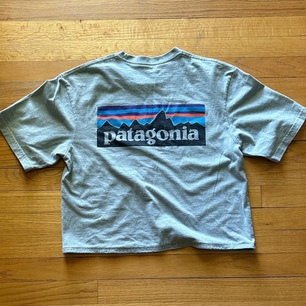 Patagonia Responsibili-Tee blue cropped fitz roy t-shirt